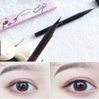 KẺ MẮT NƯỚC ETUDE HOUSE DRAWING SHOW BRUSH LINER MÀU ĐEN 